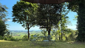 A table and chairs under a tree with a view of rolling hills.