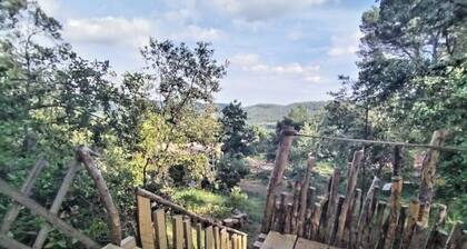 La Yourte du P'tit Mas