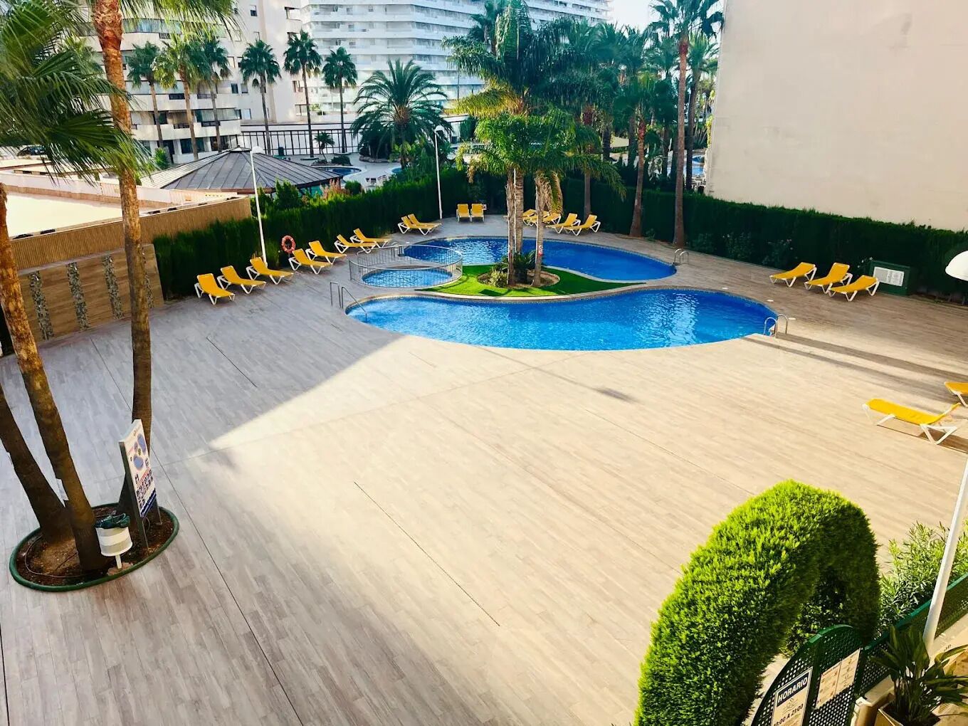 Area piscina con numerosi lettini e palme, circondata da un edificio con balconi.