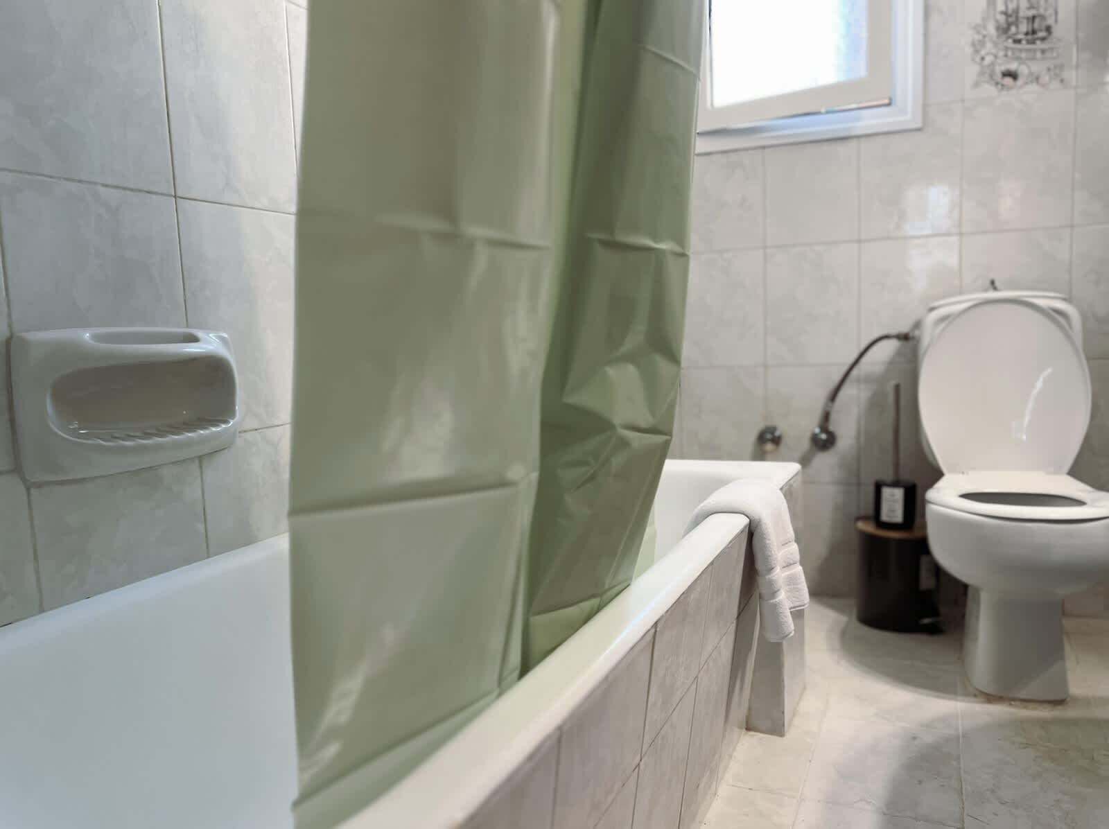 Une salle de bain avec une baignoire, des toilettes et un rideau de douche vert.