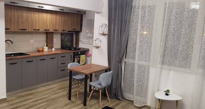 Charming 2-bedroom apartment with AC, WiFi in enchanting Ploiești