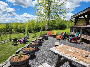Property grounds - Vineyard Cabin (Randolph)