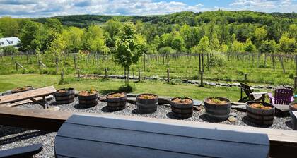 Vineyard Cabin