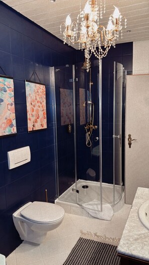 Shower, hair dryer, soap, toilet paper