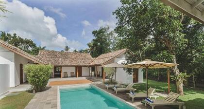 Kurundu Walawwa by The Clarks