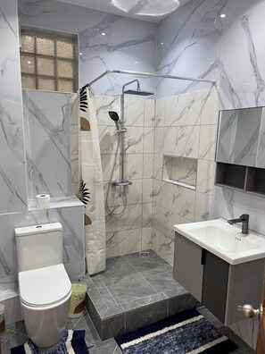Shower, hair dryer, towels, toilet paper
