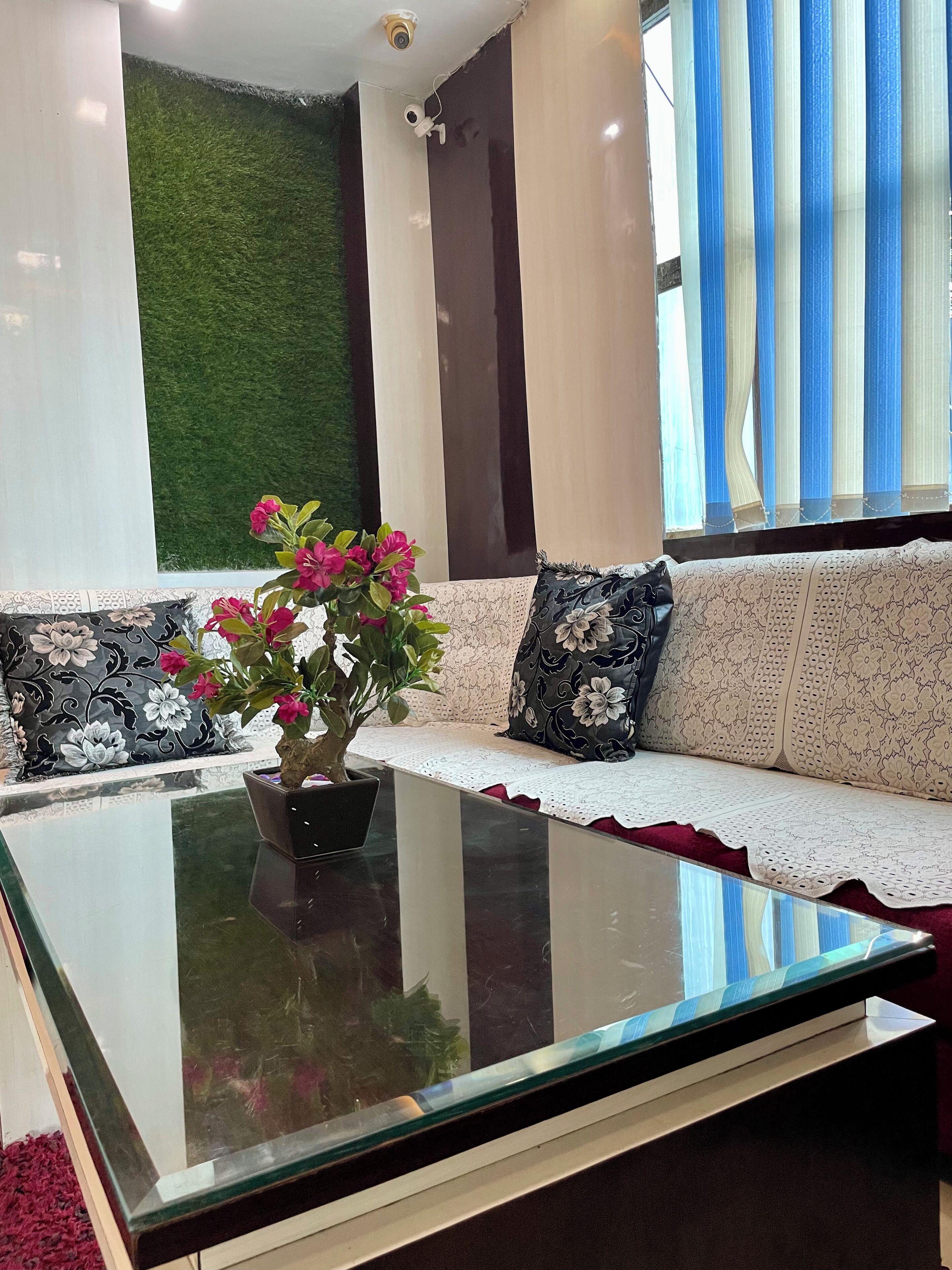 A modern living room with a glass coffee table, a sofa with patterned cushions, a small potted plant, and a green wall.