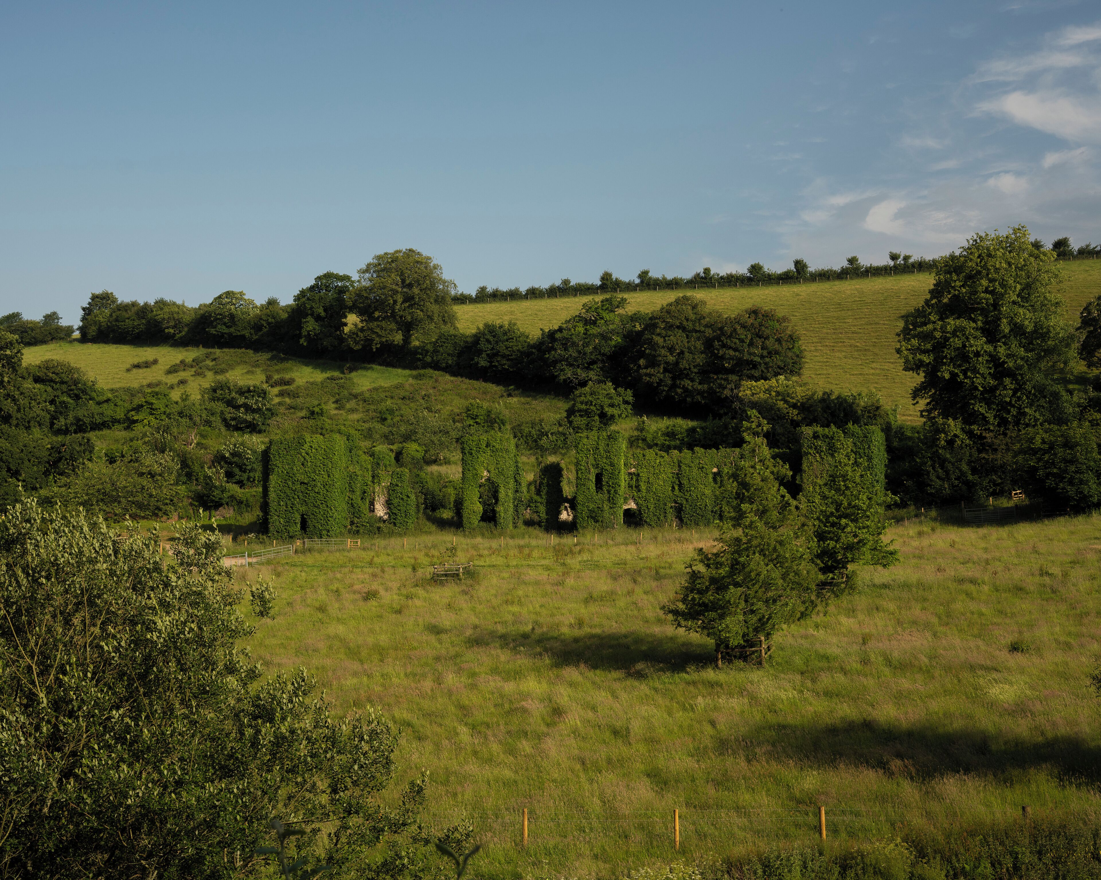 A rural landscape with rolling hills, scattered trees, and a fence.