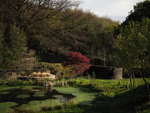 Tuin