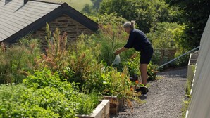 A person tending to a garden with raised beds and a variety of plants. - Fowlescombe Farm (Ivybridge)