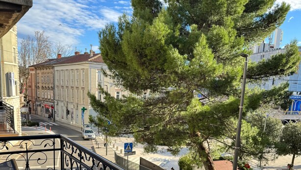 A balcony with a wrought iron railing, a potted plant, and a view of a street with buildings and a tree. - Luxury apartman Central 1, Crikvenica (Crikvenica)