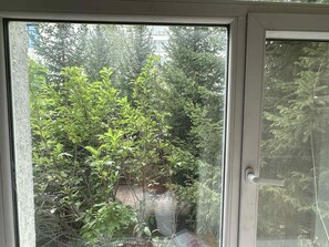 Dormitorio condiviso Standard, vista giardino (Share Bunk Room Number 4) | Una scrivania, postazione laptop, Wi-Fi gratuito, lenzuola