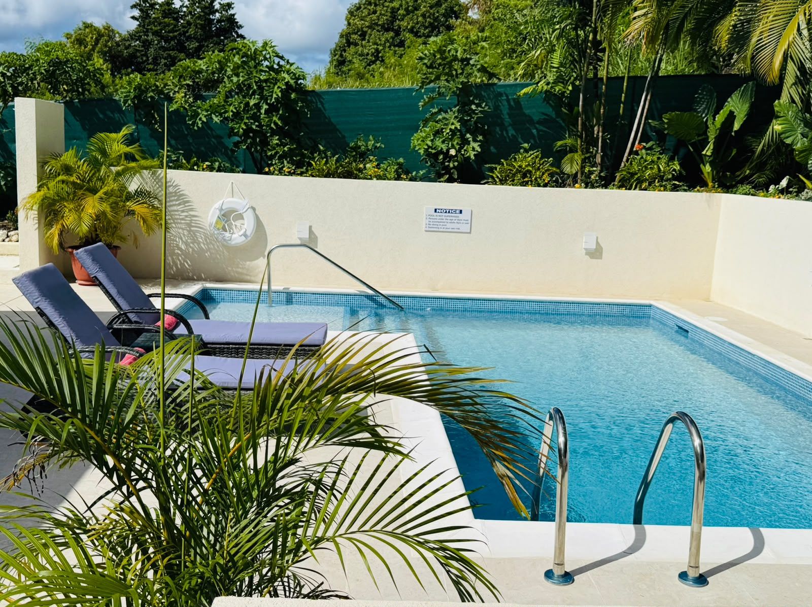 A swimming pool with a notice sign, lounge chairs, and tropical plants.