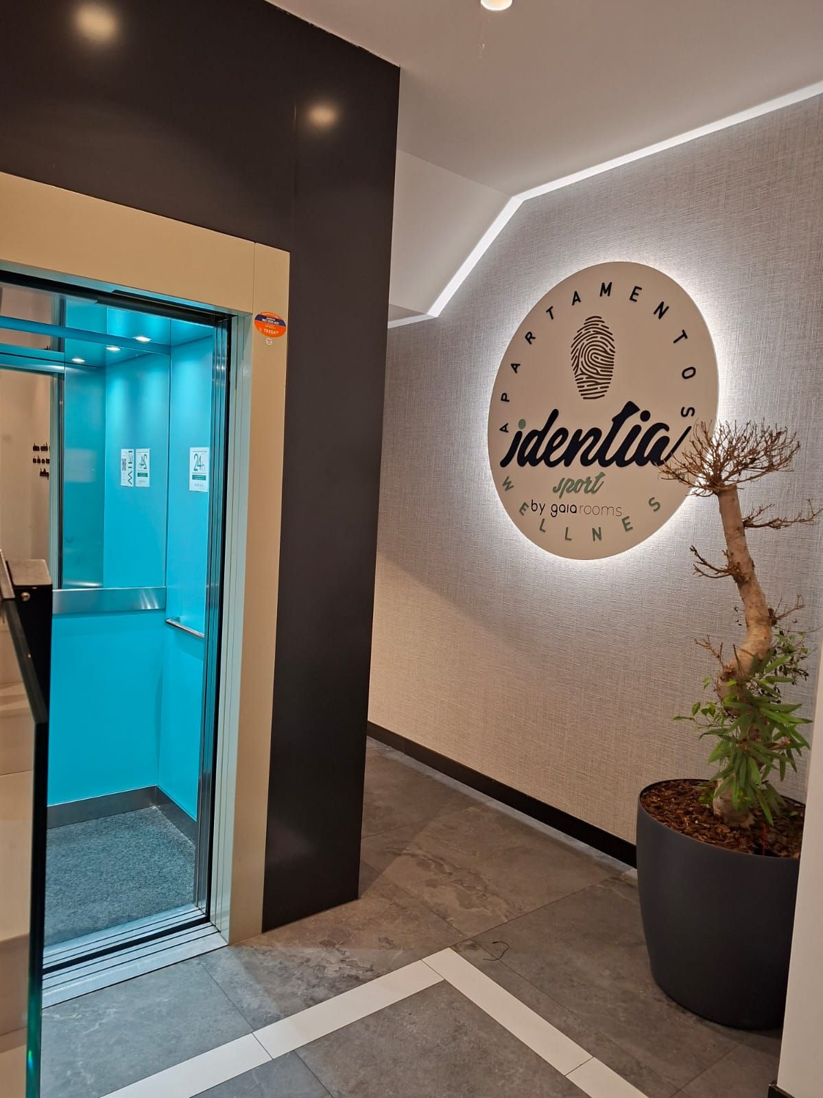 A hotel entrance with a blue elevator, a wall-mounted sign with the name 'identia sport', and a potted plant.