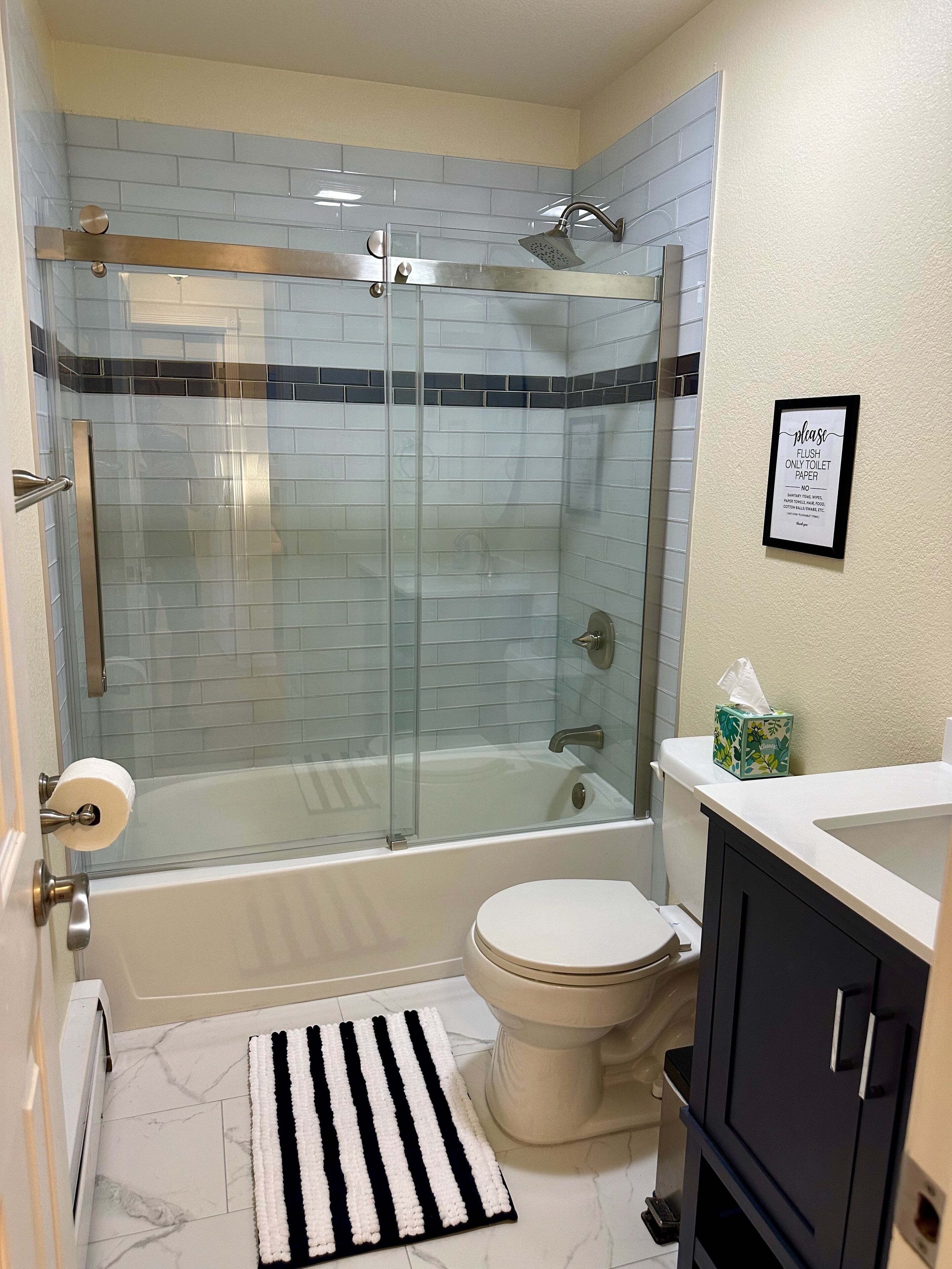 Hair dryer, towels, soap, toilet paper