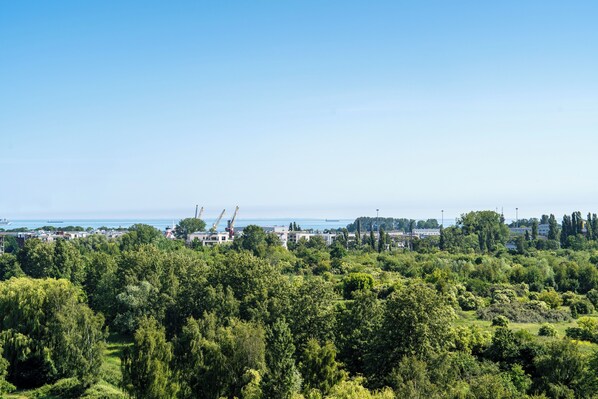 Apartament (101) | Balcony view