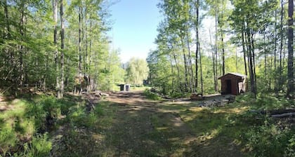 1 of 2 Cozy Cabins on Sloaping Forested Land