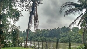 Zona verde bien cuidada con un banco de madera, una cerca metálica y vistas a un río y colinas boscosas al fondo.