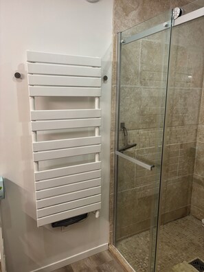 Shower, towels, toilet paper
