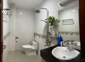 Hair dryer, towels, soap, toilet paper