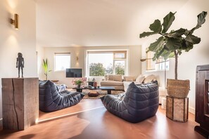 Smart TV, fireplace, video games, books