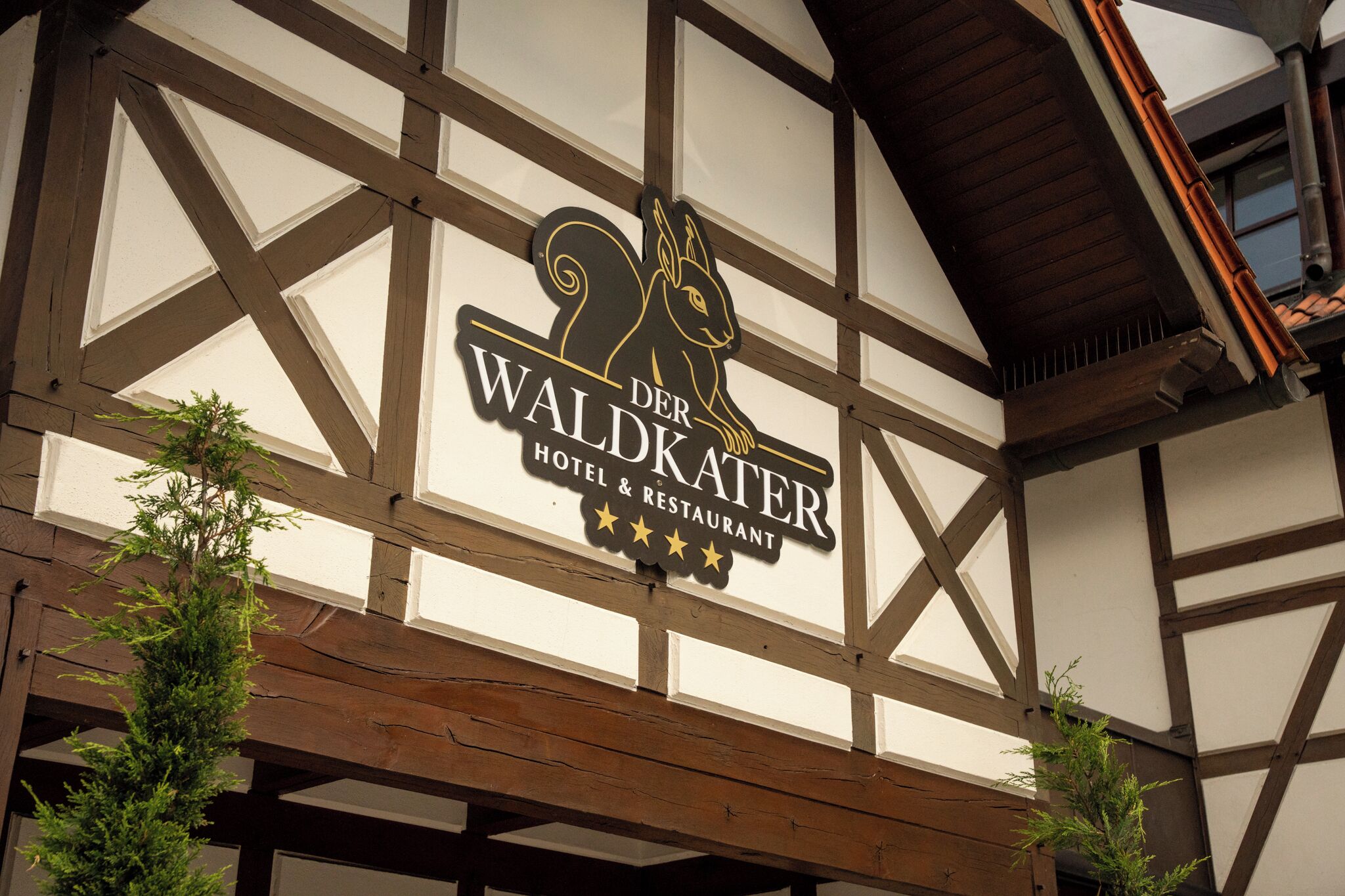 Foto - Hotel Der Waldkater