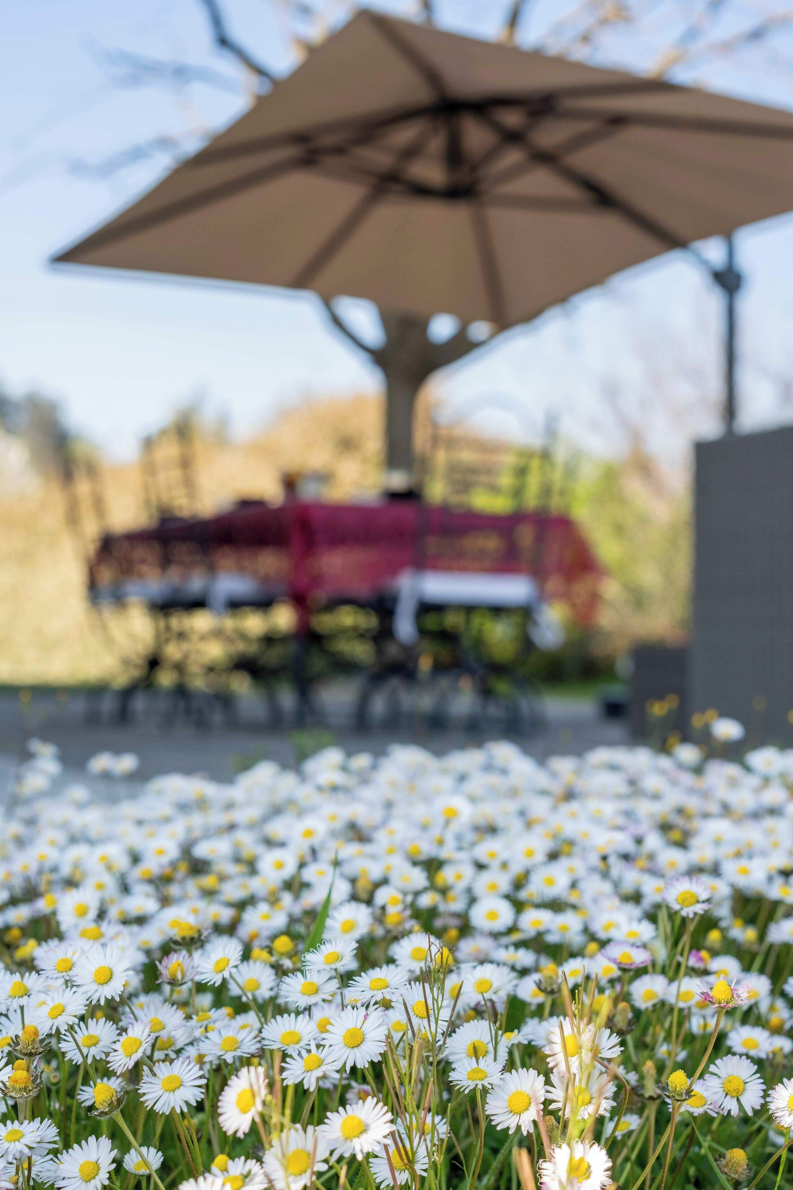 Espace banquet en plein air