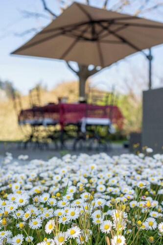 Villa Corte dello Zanchino, surrounded by greenery