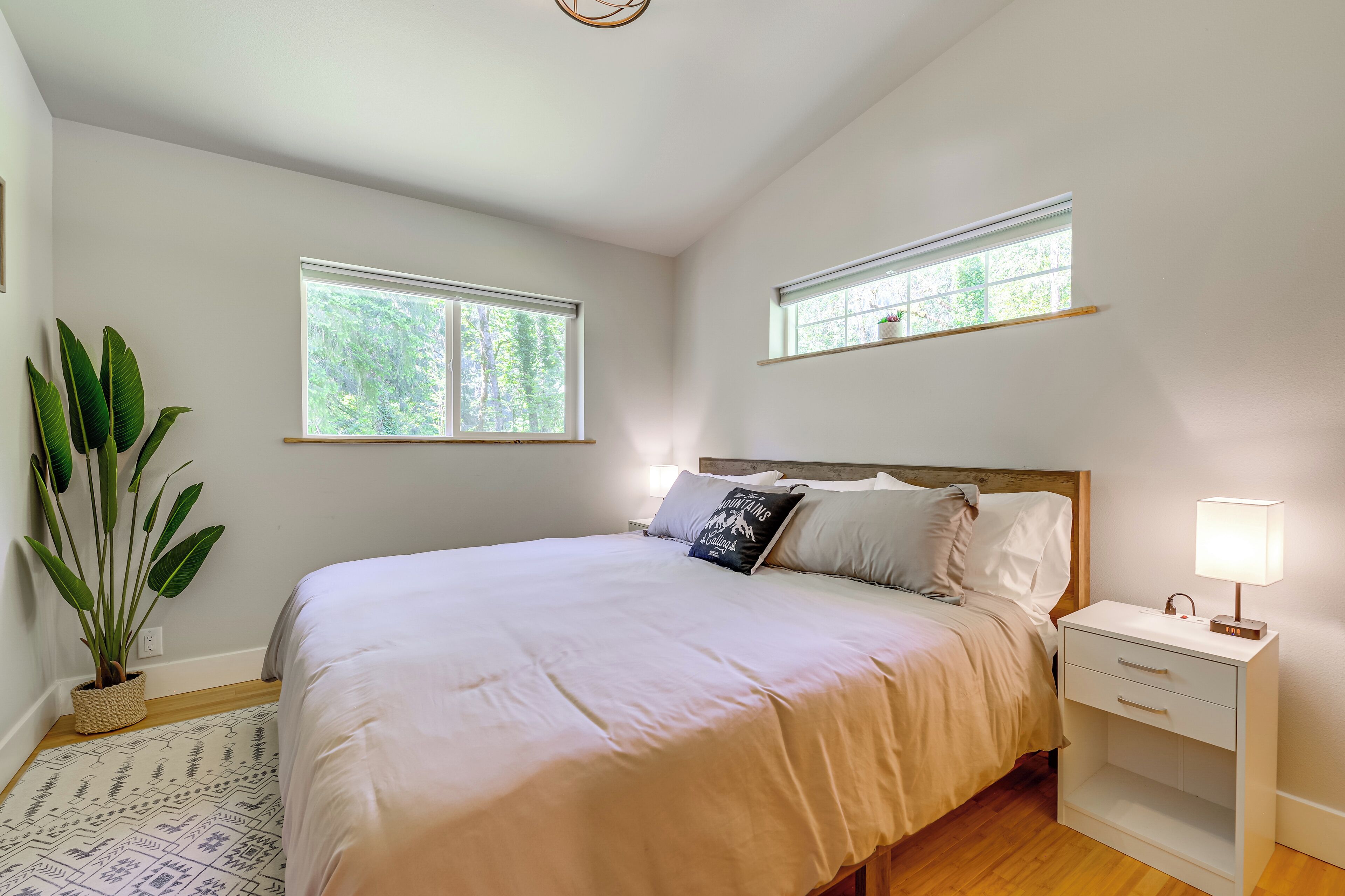 A bedroom with a bed, bedside tables, a nightstand, a potted plant, and two windows.
