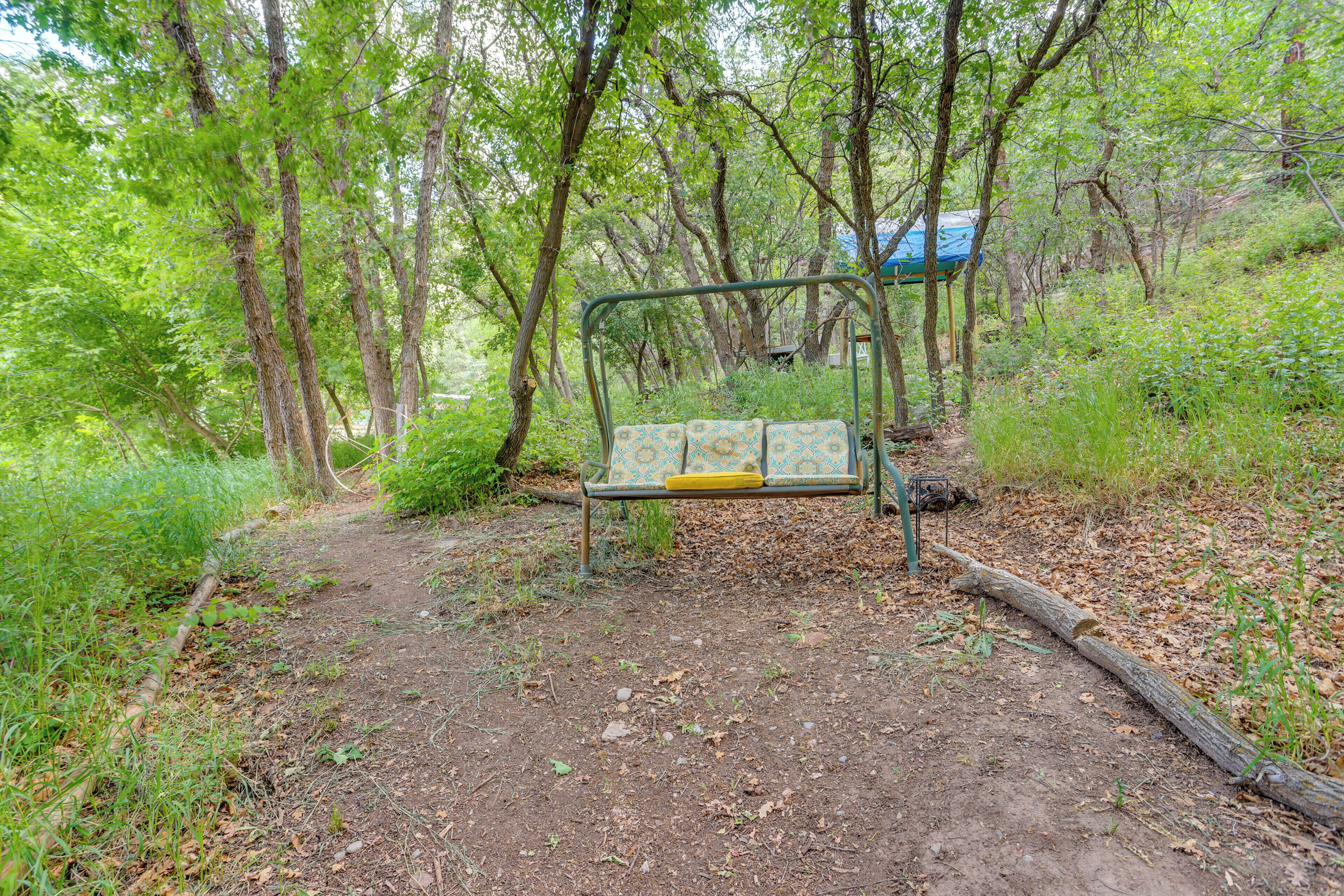 A bench in a wooded area with a dirt path.