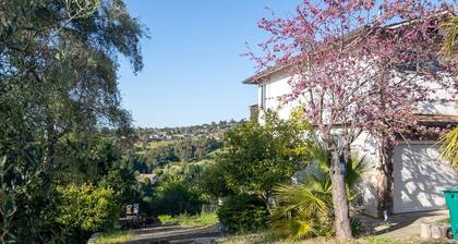 2BR, Canyon Views • WiFi • Parking • Near CSU & Hospitals, BART & Trails.