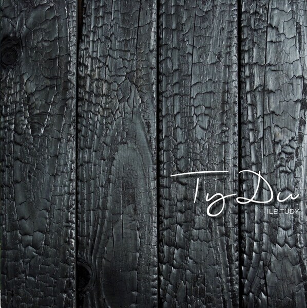 A textured wooden surface with visible cracks and a signature in the bottom right corner. - Ty Du - Plage du Sillon - Parking (Île-Tudy)