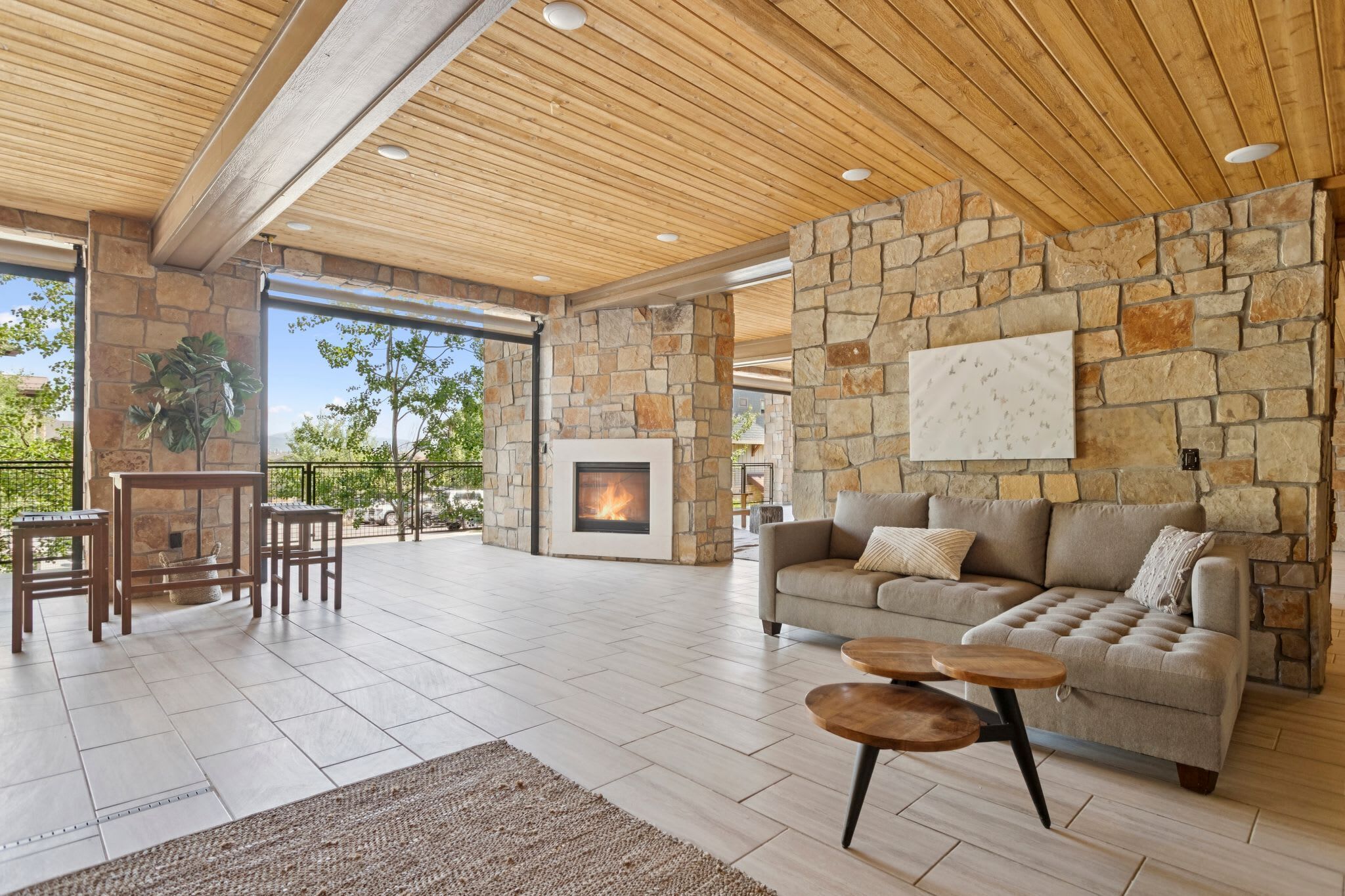 TV, fireplace, books