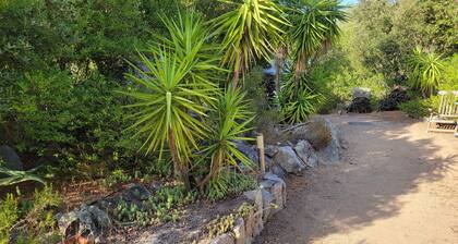 South Corsica house, close to the most beautiful beaches and mountains
