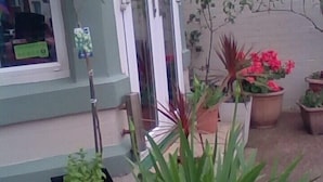 Una planta en maceta al frente, una ventana con vista al interior, y una puerta con manija.