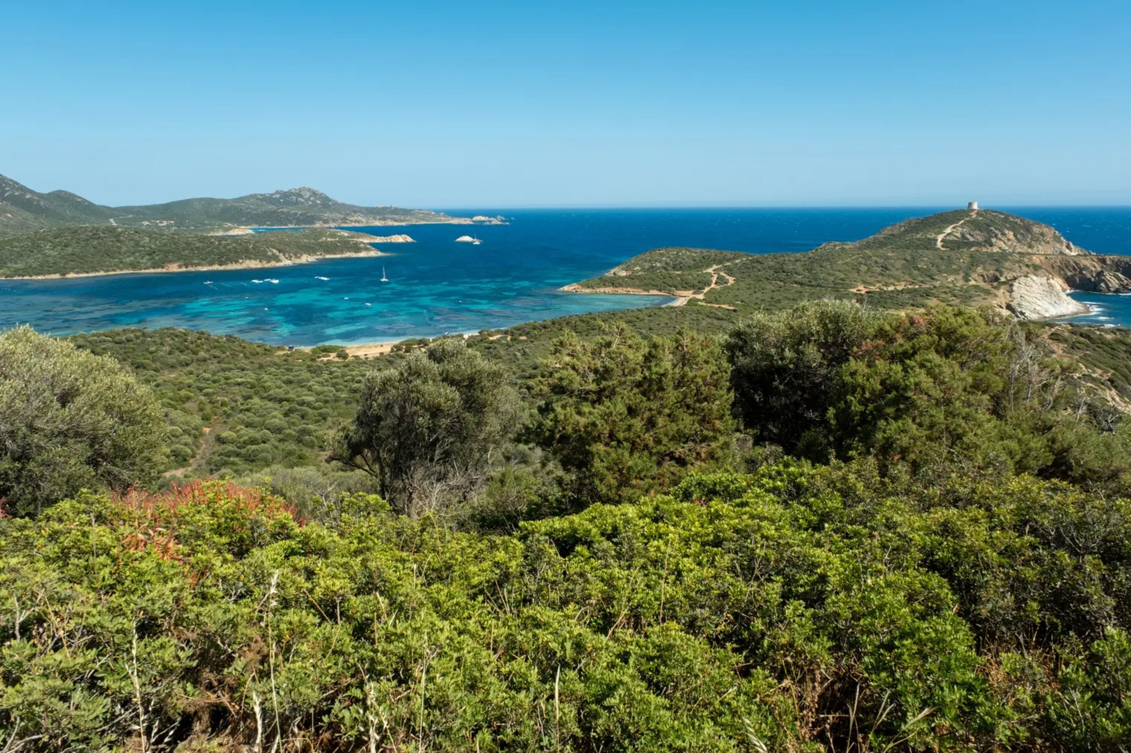 A coastal landscape with dense greenery, a clear blue sea, and a hill with a structure on top.