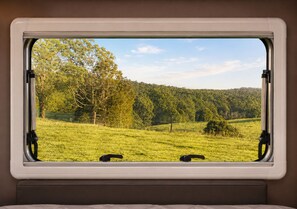 Una ventana con vistas a un campo verde y árboles.