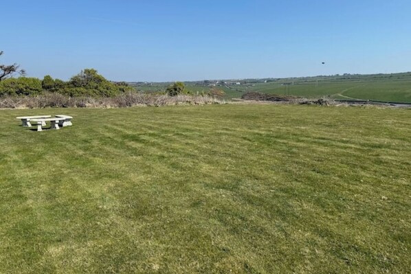 A grassy field with a picnic table and a clear sky.