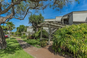 Condo, 1 Bedroom | Property grounds