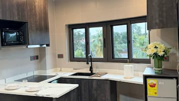 Deluxe Apartment, Air conditioning, Mountain View | Private kitchen
