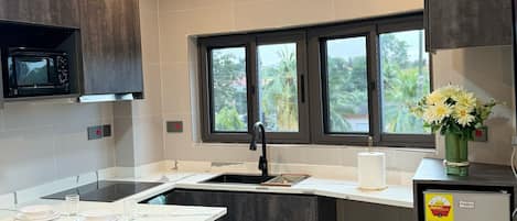 Appartamento Deluxe, aria condizionata, vista montagna | Cucina privata
