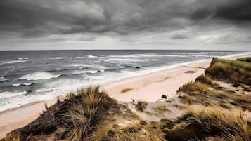 Vlak bij het strand
