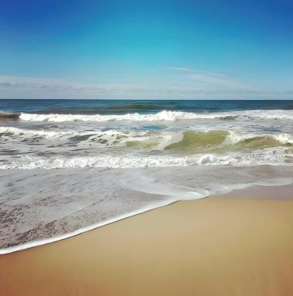 Playa en los alrededores 
