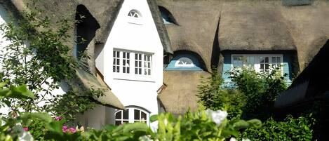 A building with a unique thatched roof and white walls, surrounded by greenery.