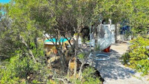 A garden area with trees, a wooden deck, and a blue building in the background. - Villa Paomia (cargèse)