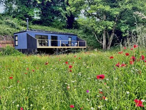 A modern blue cabin with a deck, surrounded by a field of wildflowers. - Luxurious Eco-Retreat in Market Drayton (Market Drayton)