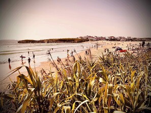 Unclassified image, 3 of 46, button