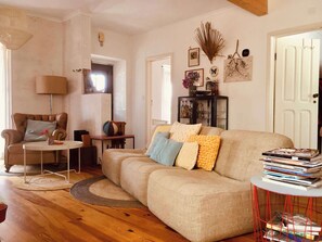 Télévision, cheminée, livres, espaces bureaux