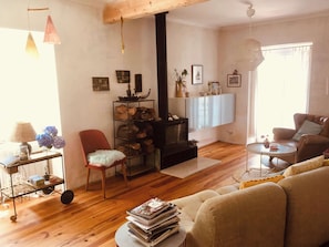 TV, caminetto, libri, studio