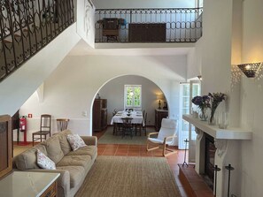 TV, fireplace, books